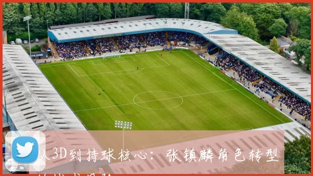 从3D到持球核心：张镇麟角色转型的战术风险