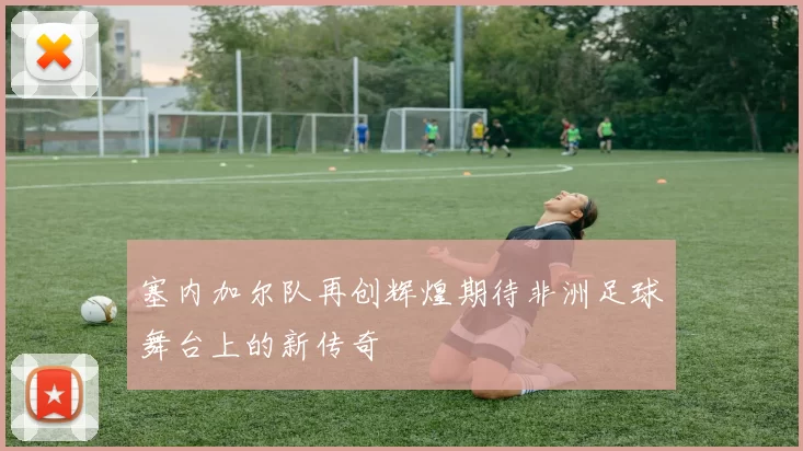 塞内加尔队再创辉煌期待非洲足球舞台上的新传奇