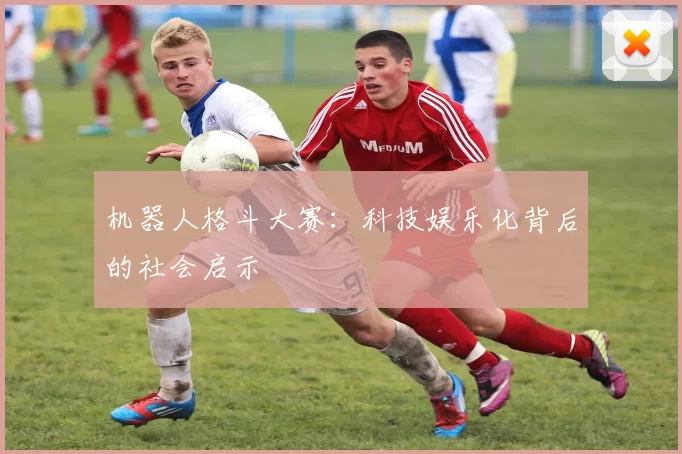 机器人格斗大赛：科技娱乐化背后的社会启示
