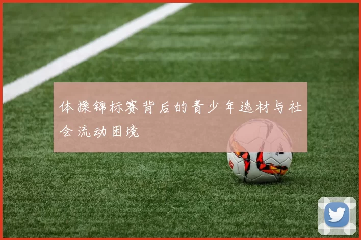 体操锦标赛背后的青少年选材与社会流动困境